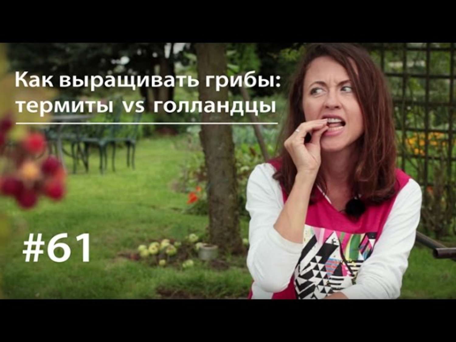 Обложка книги «Как выращивать грибы: термиты vs голландцы»