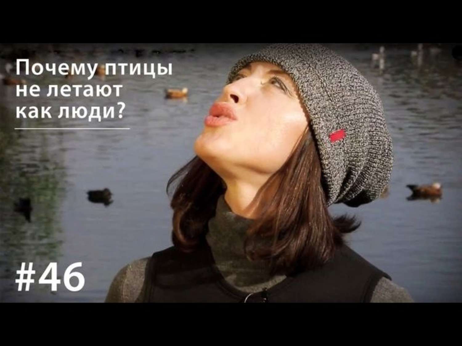Обложка книги «Почему птицы не летают как люди?»