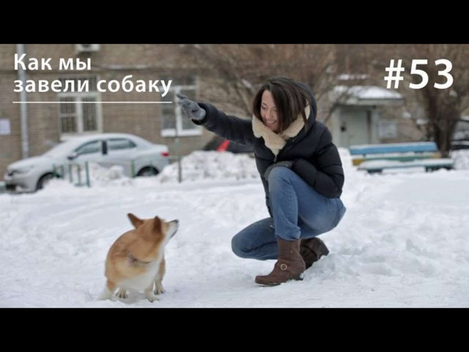 Обложка книги «Как мы завели собаку?»
