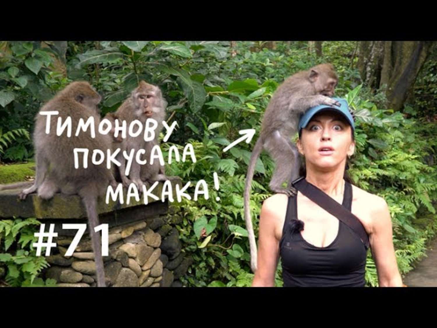 Обложка книги «Почему мы любим массаж и сплетни?»