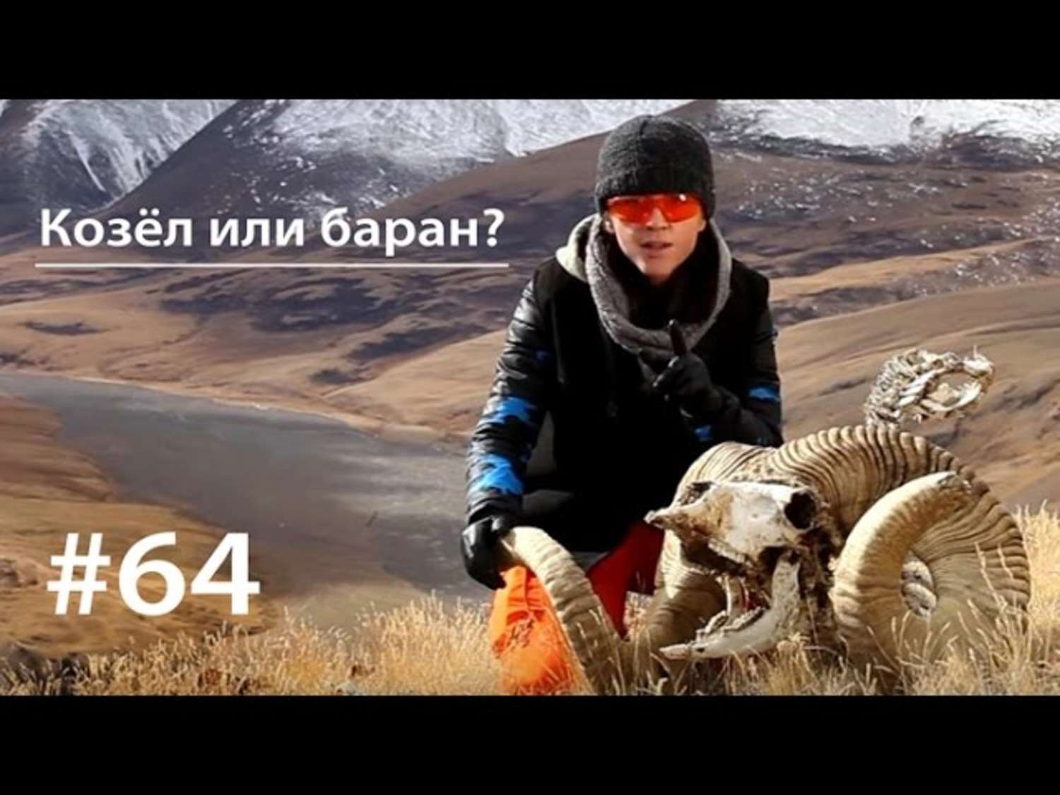 Обложка книги «Козёл или баран?»