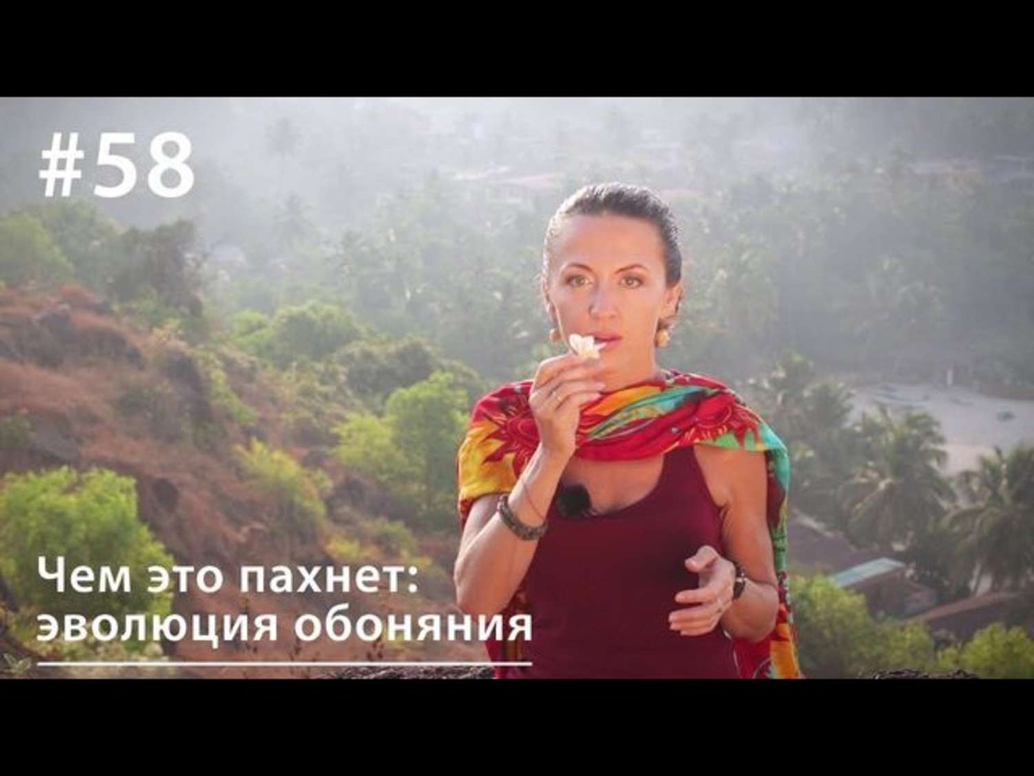 Обложка книги «Чем это пахнет: эволюция обоняния»