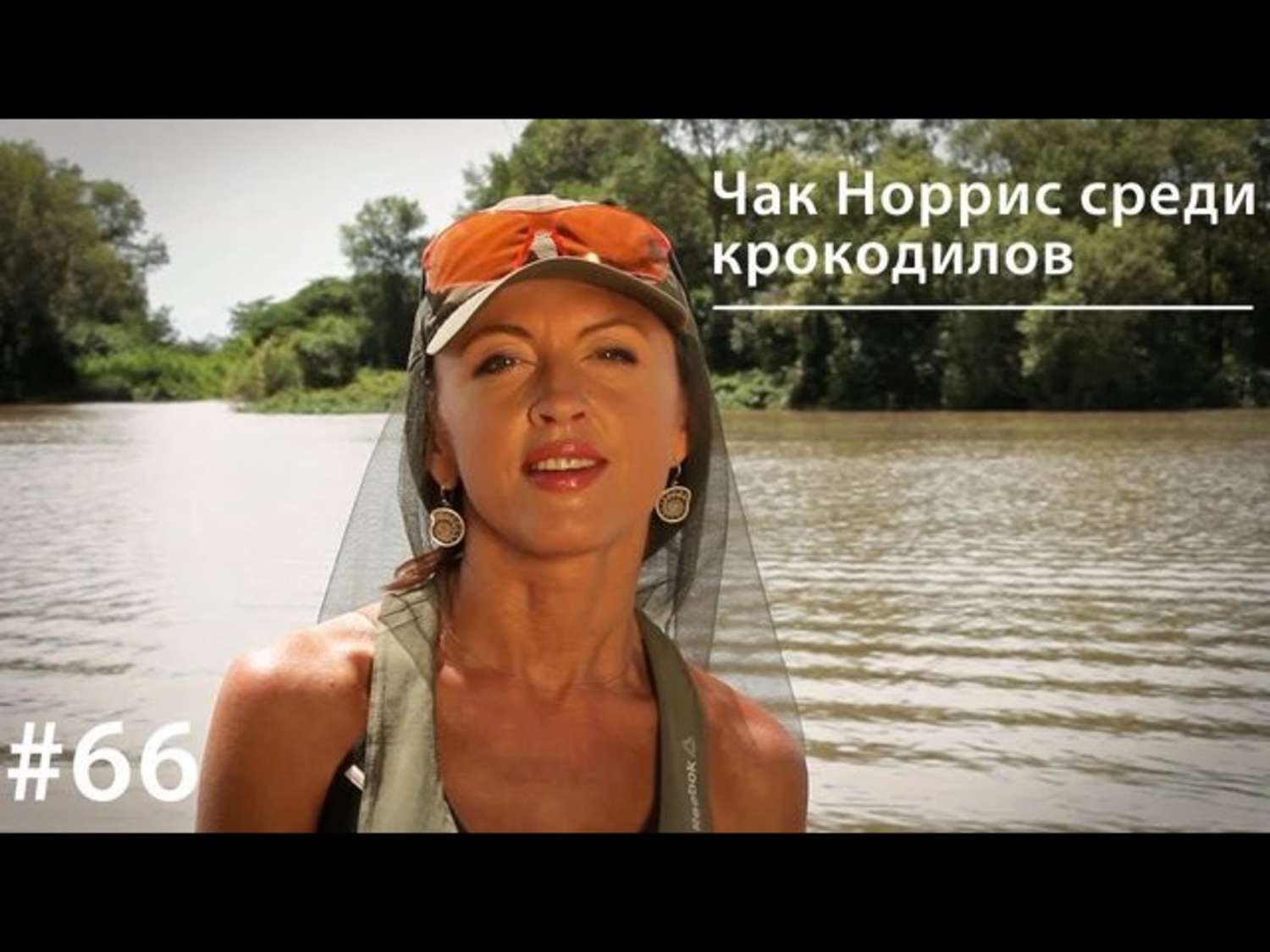 Обложка книги «Чак Норрис среди крокодилов»