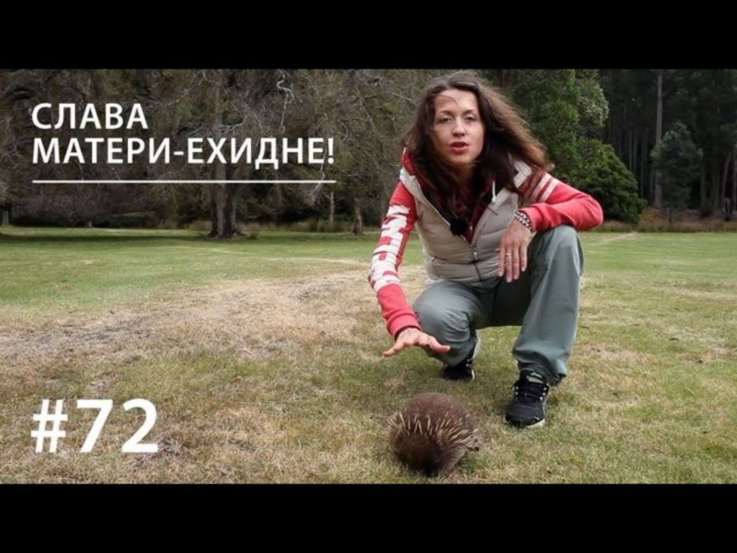 Обложка книги «Слава Матери-ехидне!»