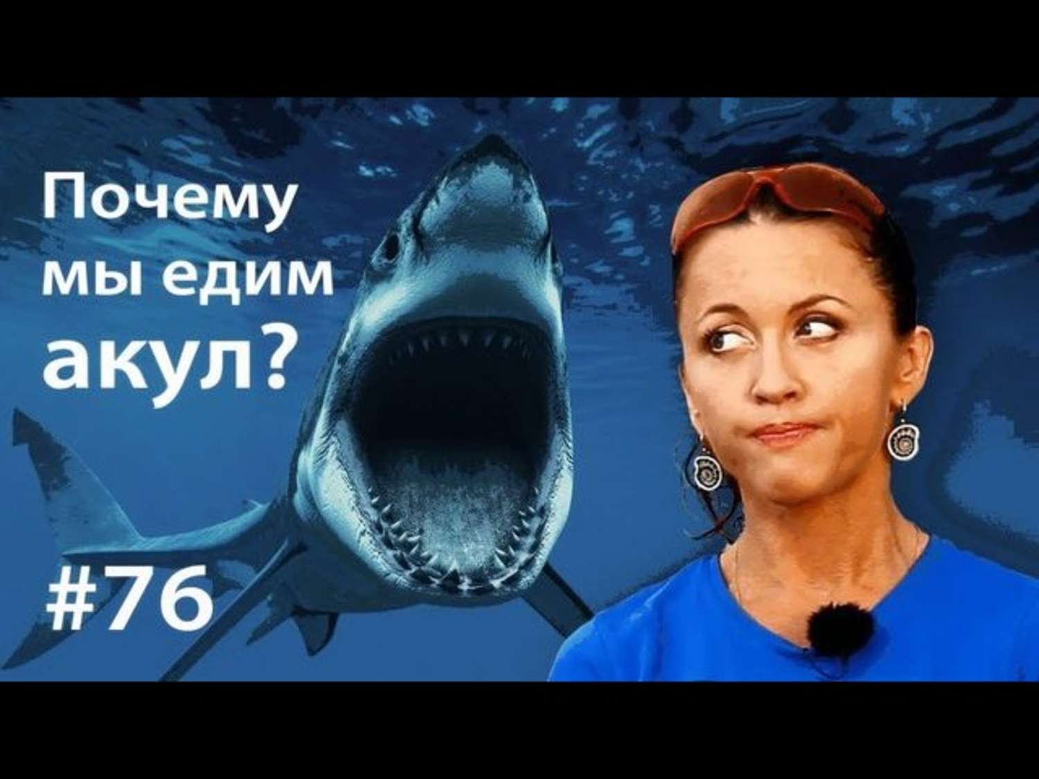 Обложка книги «Почему мы едим акул?»
