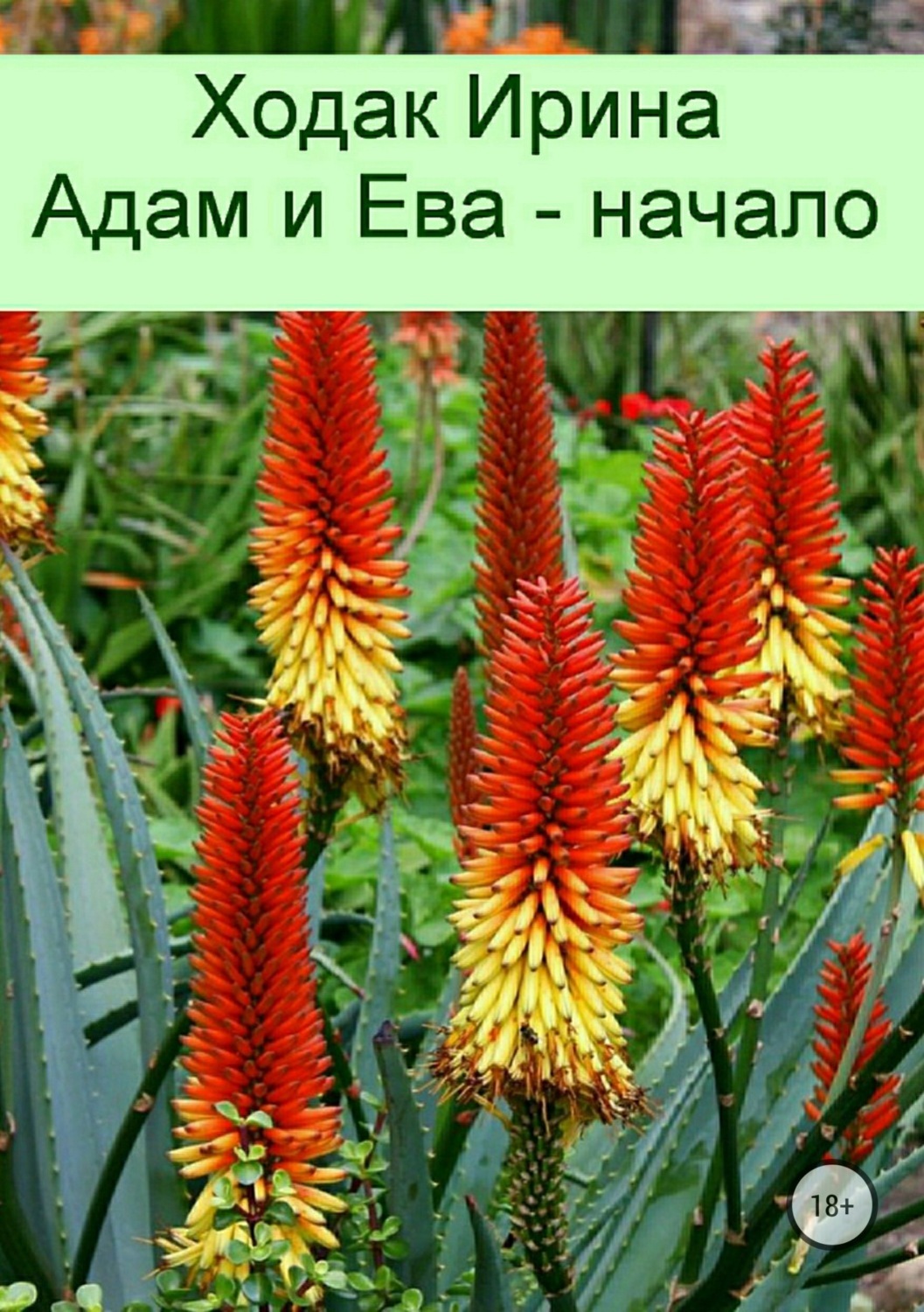 Обложка книги «Адам и Ева – начало»