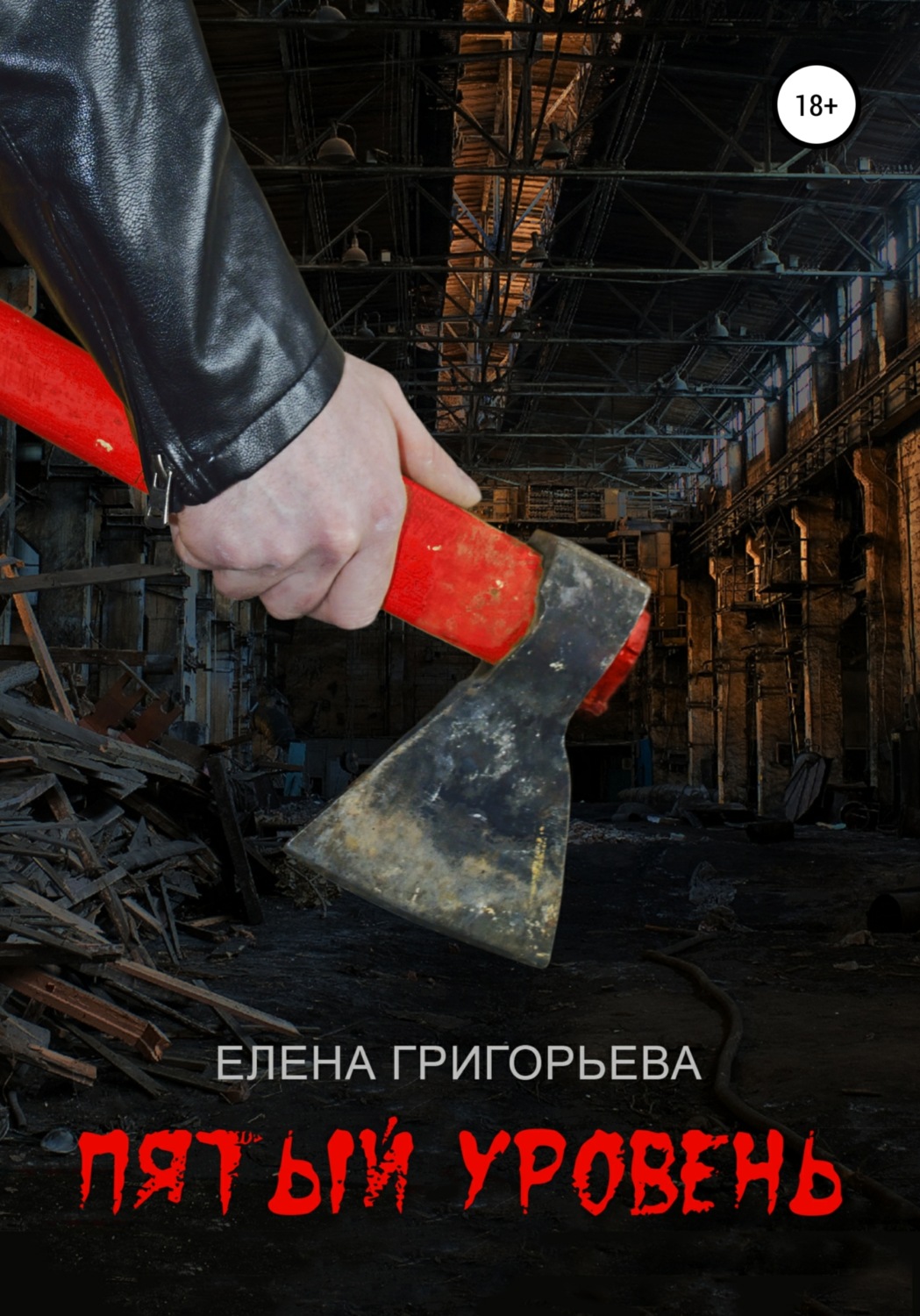 Обложка книги «Пятый уровень»
