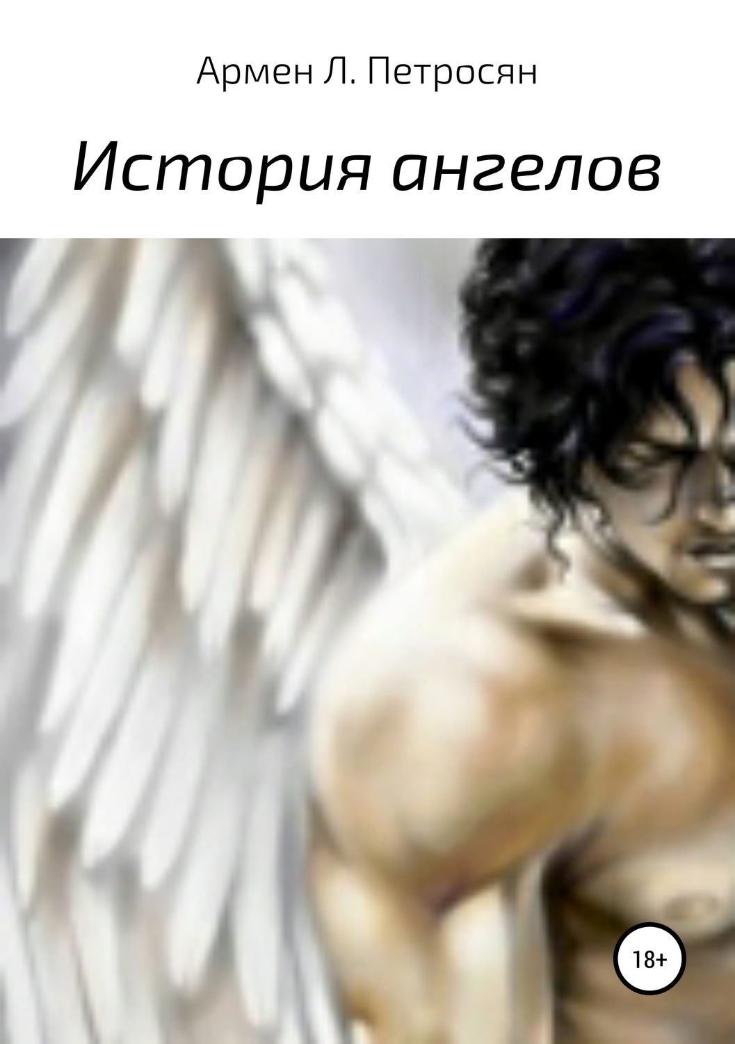 Обложка книги «История ангелов»