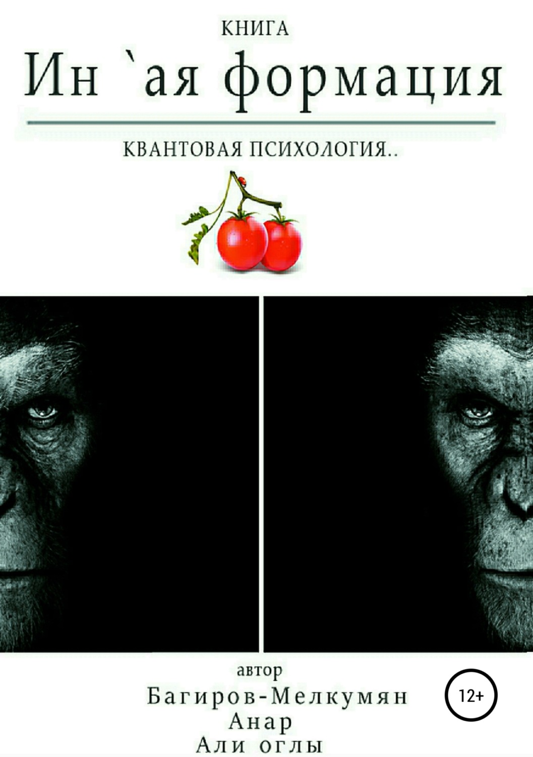 Обложка книги «`Ин-ая формация. Квантовая психология»