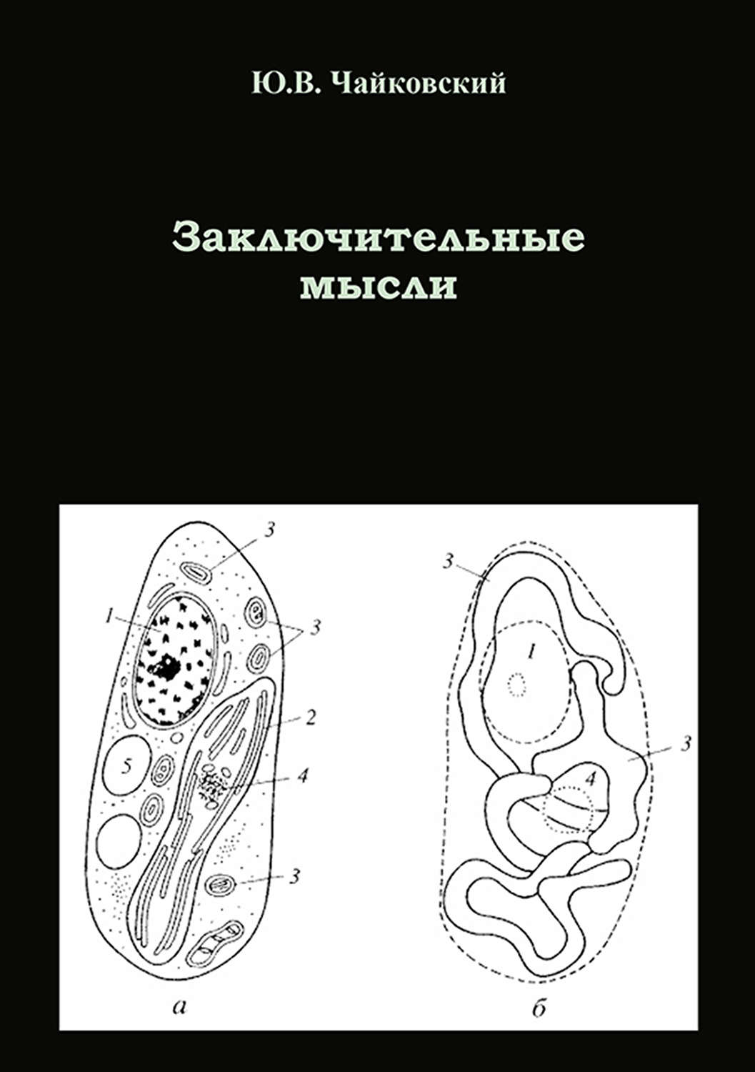 Обложка книги «Заключительные мысли»