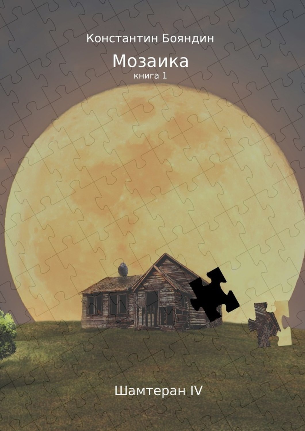 Обложка книги «Мозаика. Книга 1»
