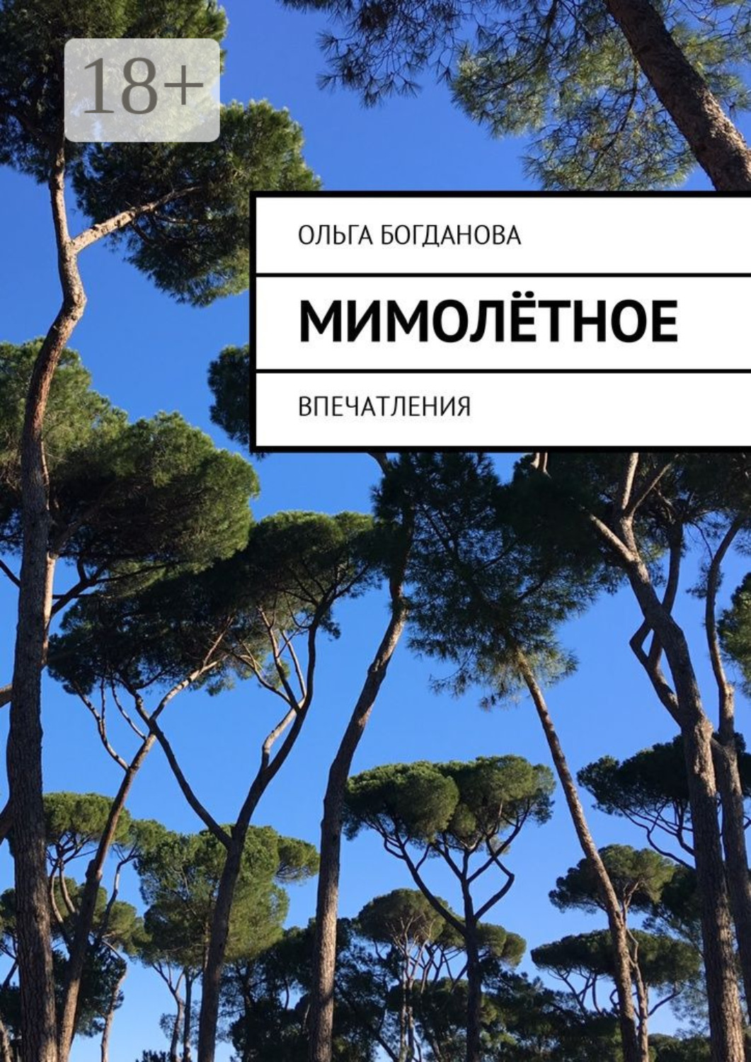 Обложка книги «МимоЛётное. Впечатления»