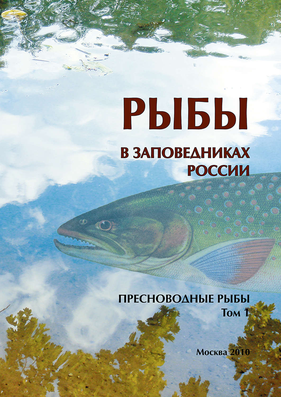Обложка книги «Рыбы в заповедниках России. Том 1. Пресноводные рыбы»