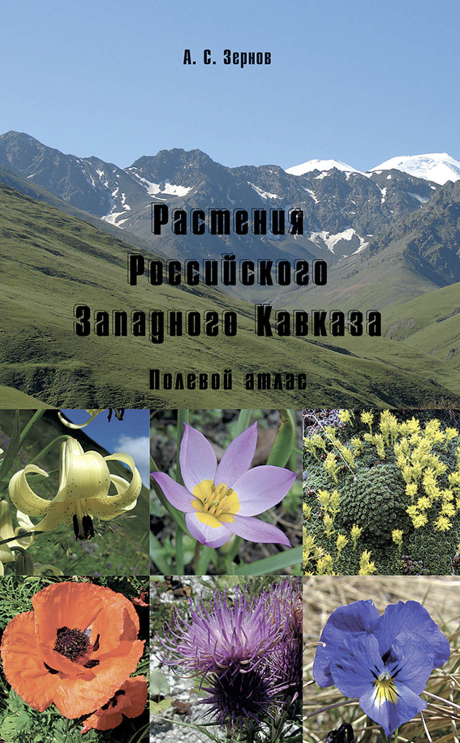 Обложка книги «Растения Российского Западного Кавказа. Полевой атлас»