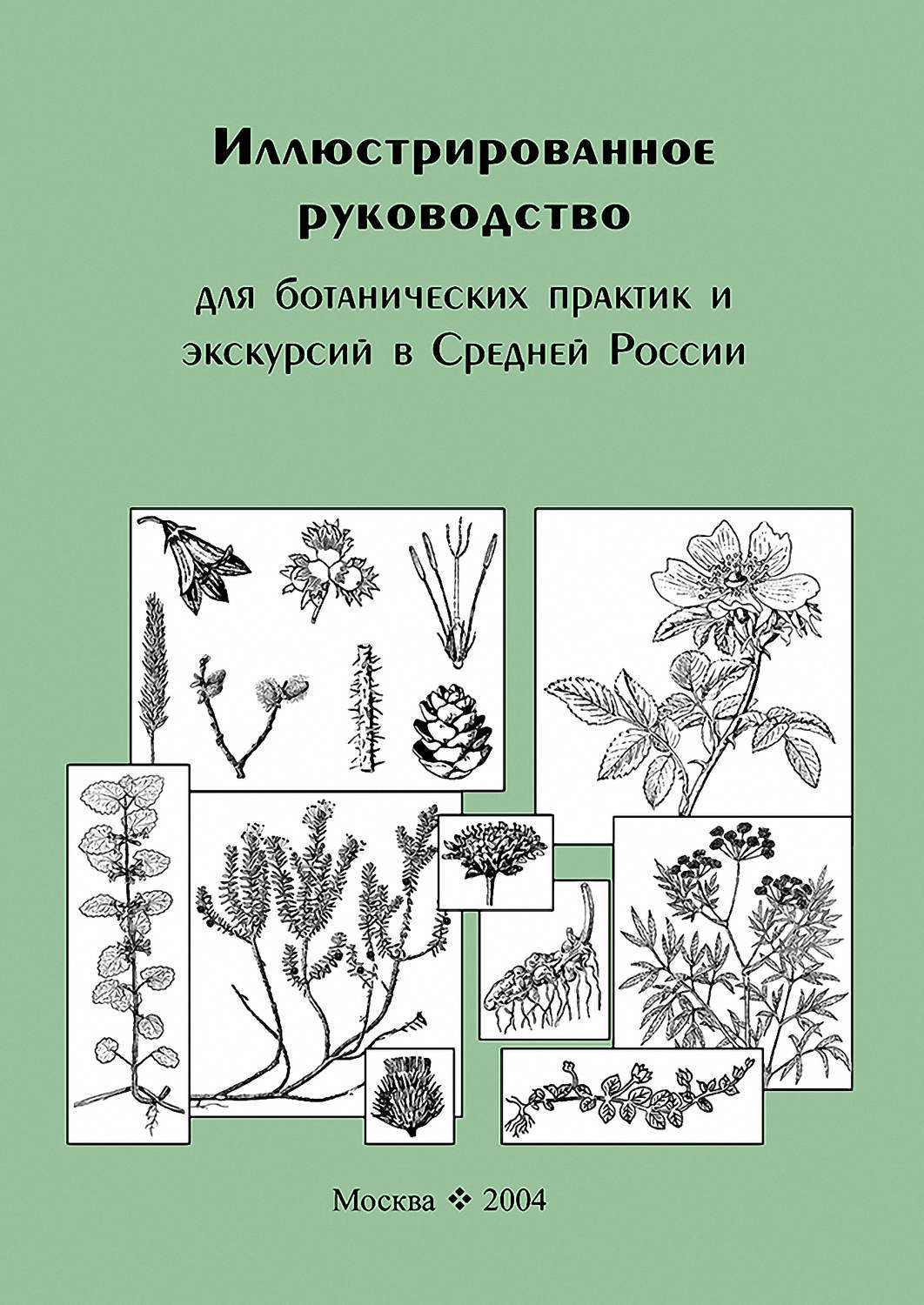 Обложка книги «Иллюстрированное руководство для ботанических практик и экскурсий в Средней России»