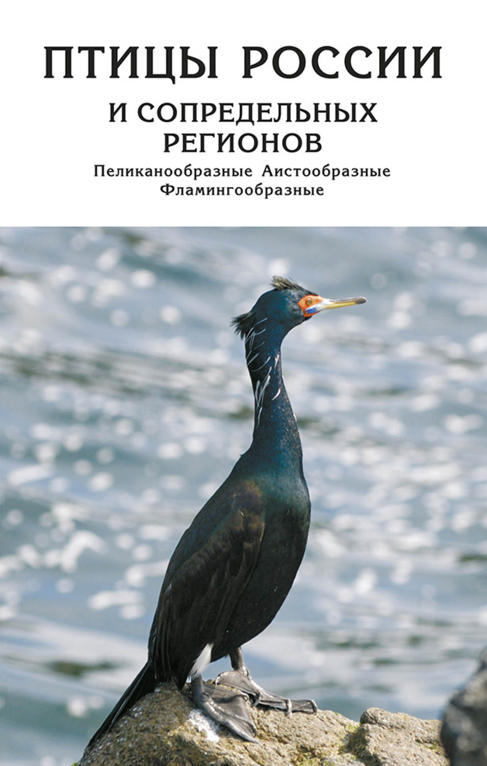 Обложка книги «Птицы России и сопредельных регионов. Пеликанообразные, Аистообразные, Фламингообразные»