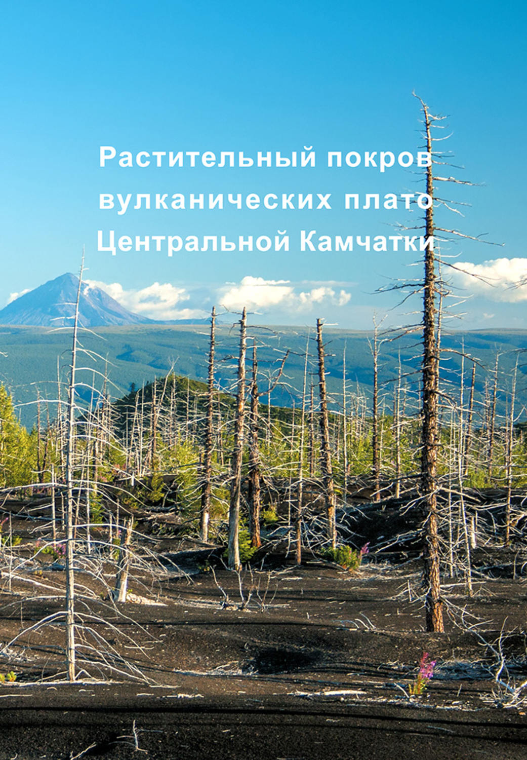 Обложка книги «Растительный покров вулканических плато Центральной Камчатки (Ключевская группа вулканов)»