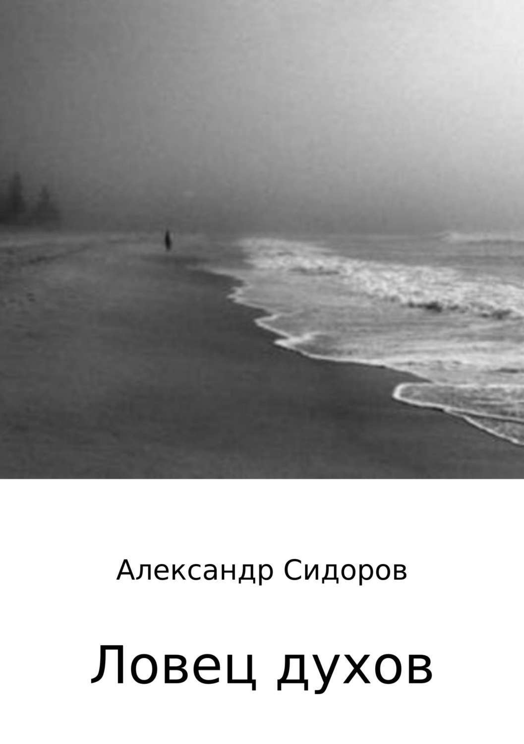 Обложка книги «Ловец духов»
