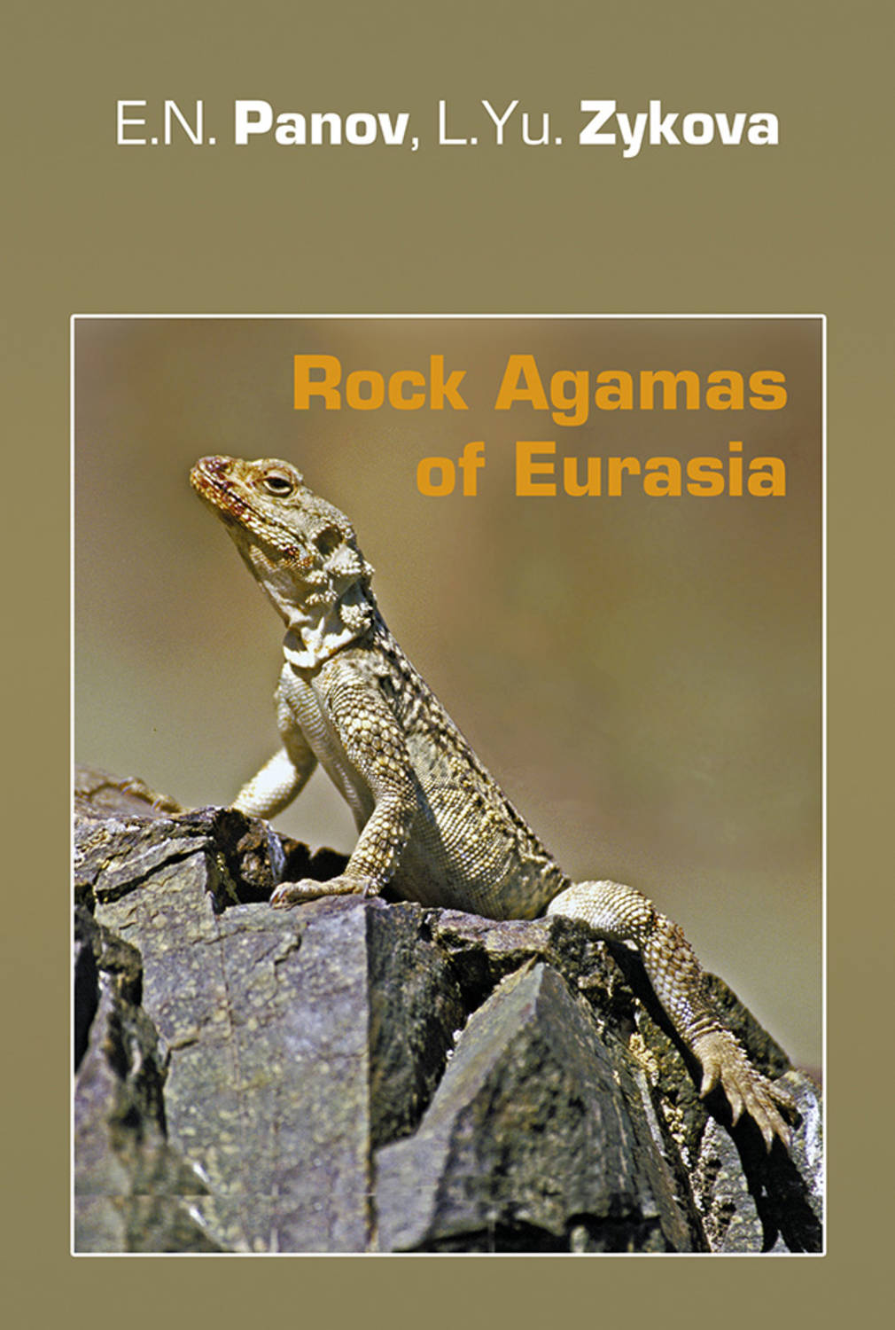 Обложка книги «Rock Agamas of Eurasia / Горные агамы Евразии»