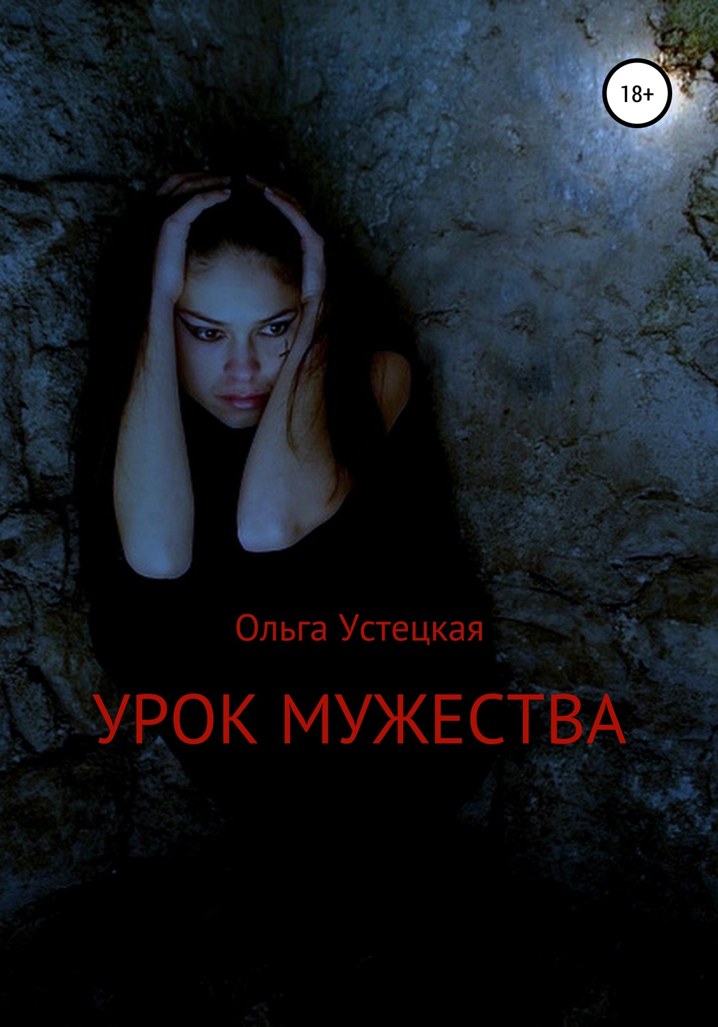 Обложка книги «Урок мужества»