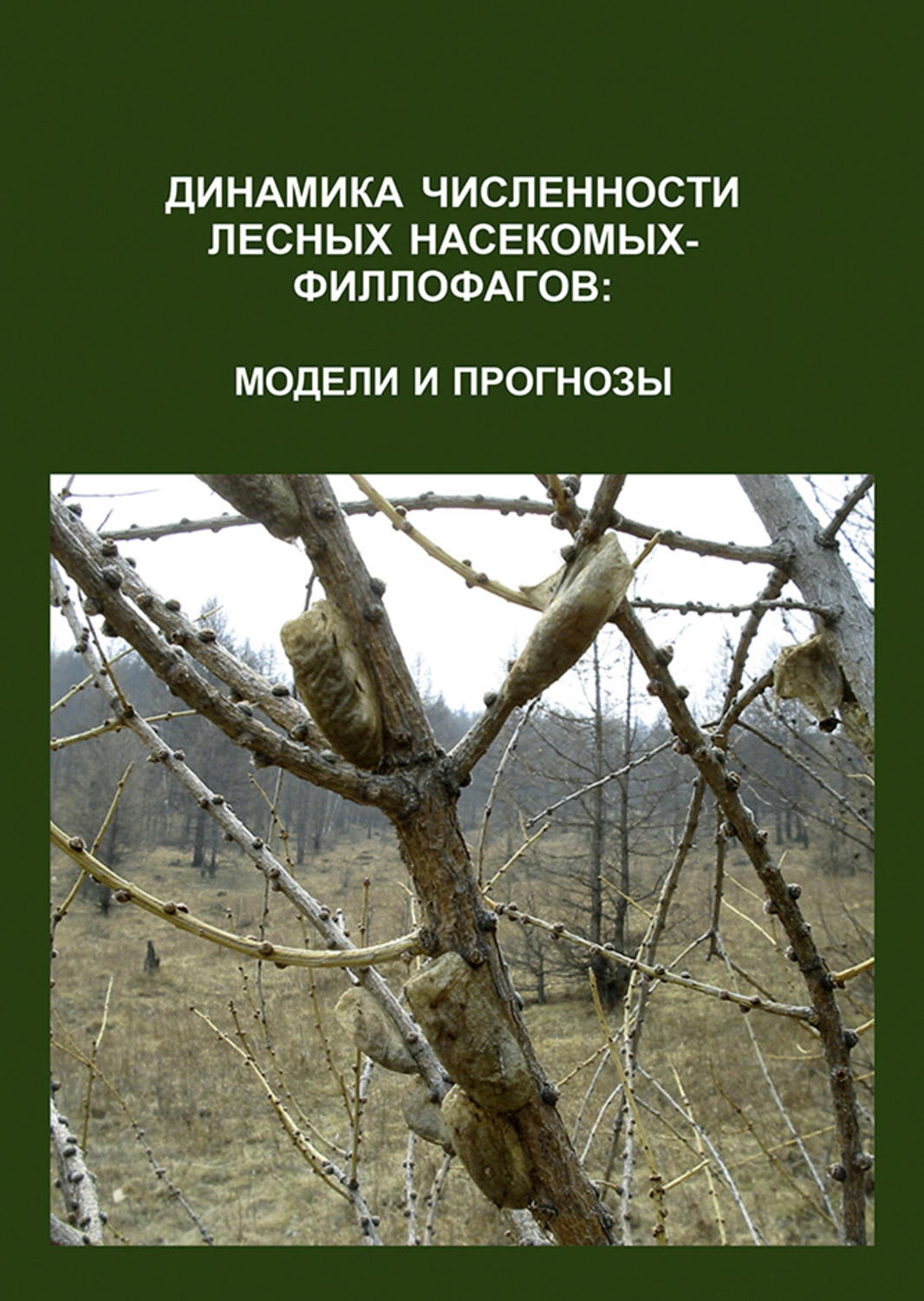 Обложка книги «Динамика численности лесных насекомых-филлофагов: модели и прогнозы»