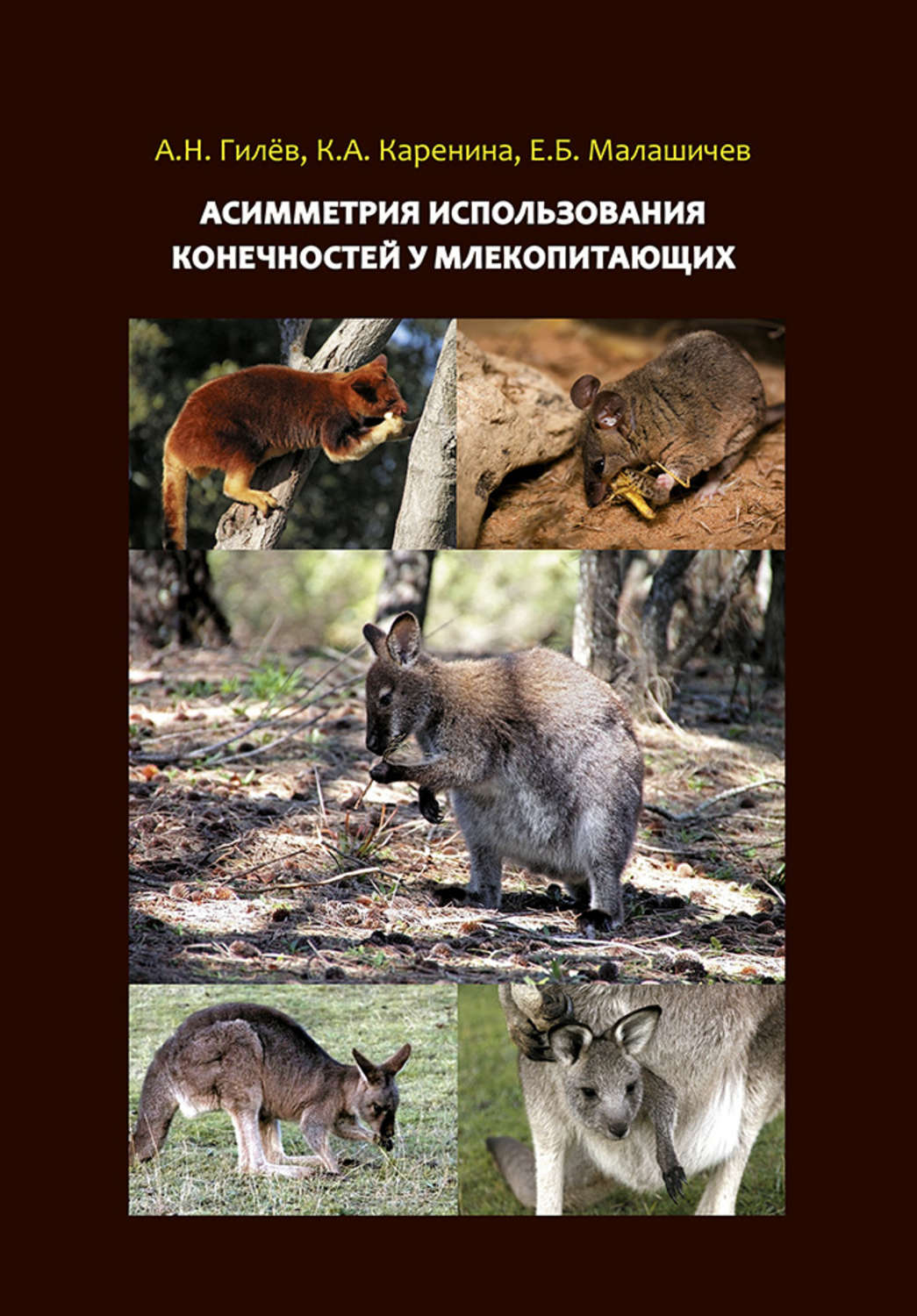 Обложка книги «Асимметрия использования конечностей у млекопитающих»