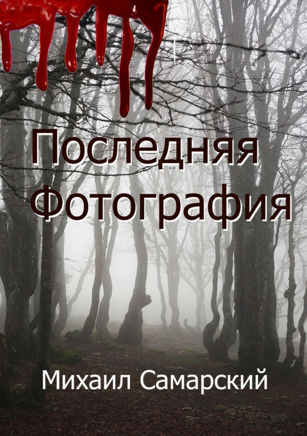 Обложка книги «Последняя фотография»