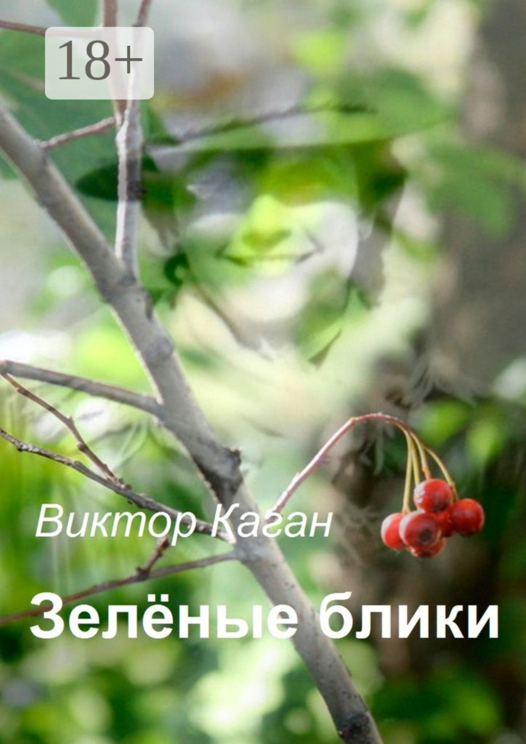 Обложка книги «Зелёные блики»
