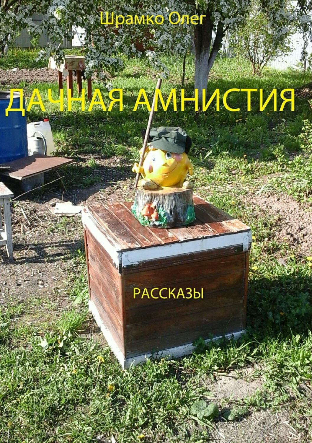 Обложка книги «Дачная амнистия. Рассказы»