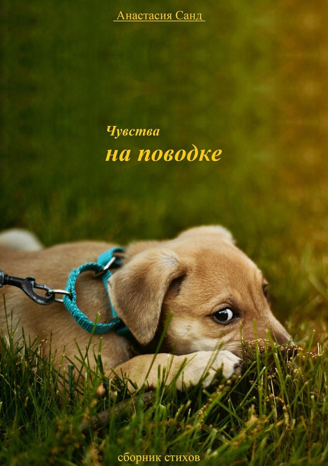 Обложка книги «Чувства на поводке. Сборник стихотворений»
