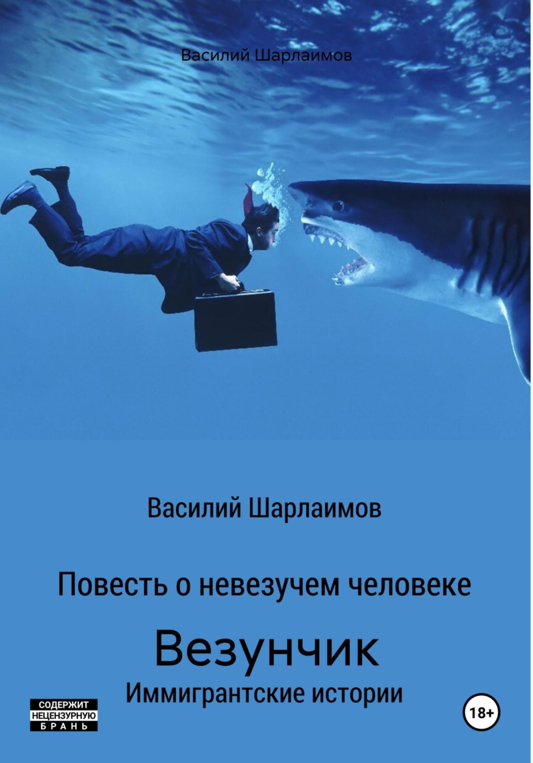 Обложка книги «Везунчик»