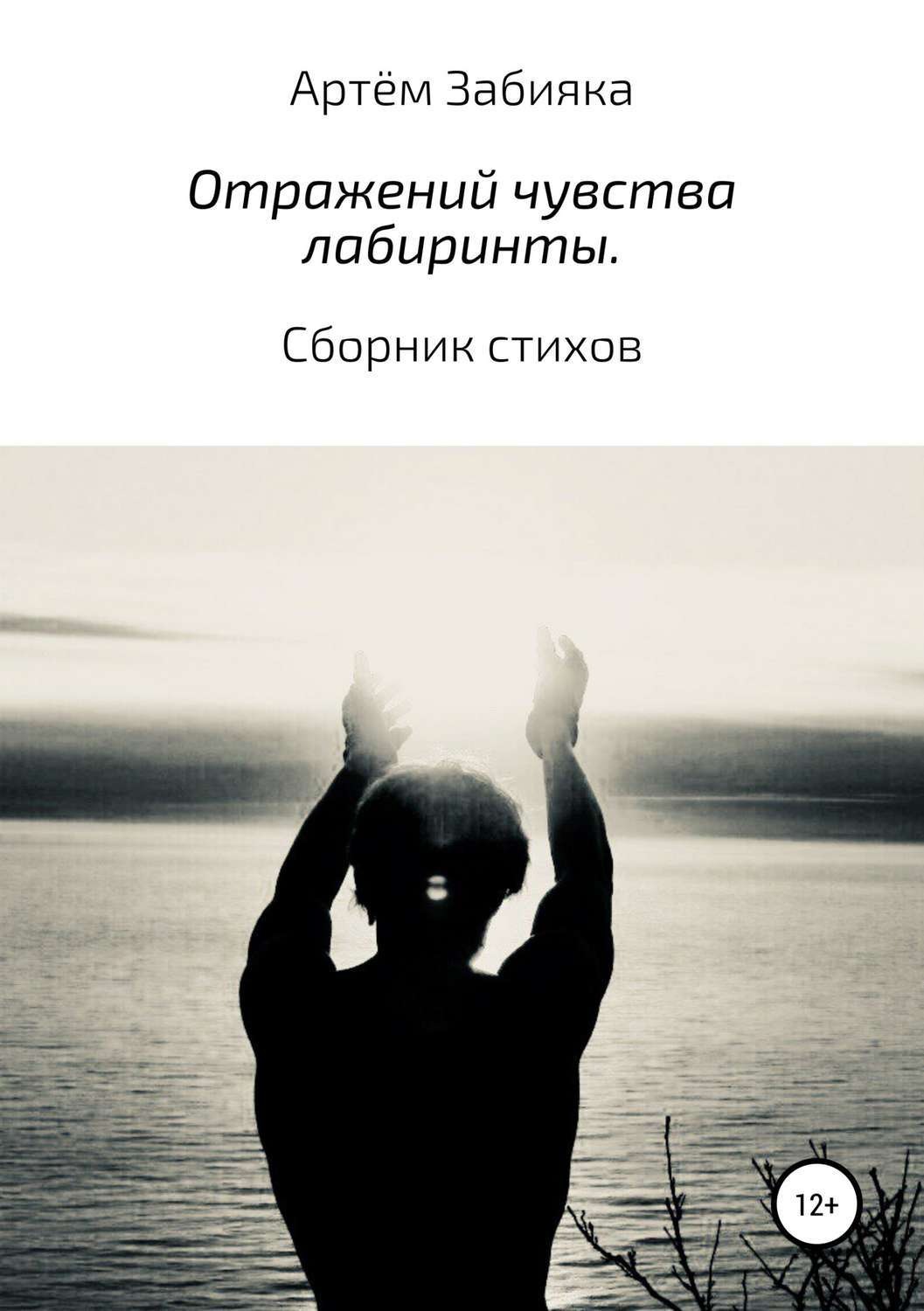 Обложка книги «Отражений чувства лабиринты. Сборник стихов»