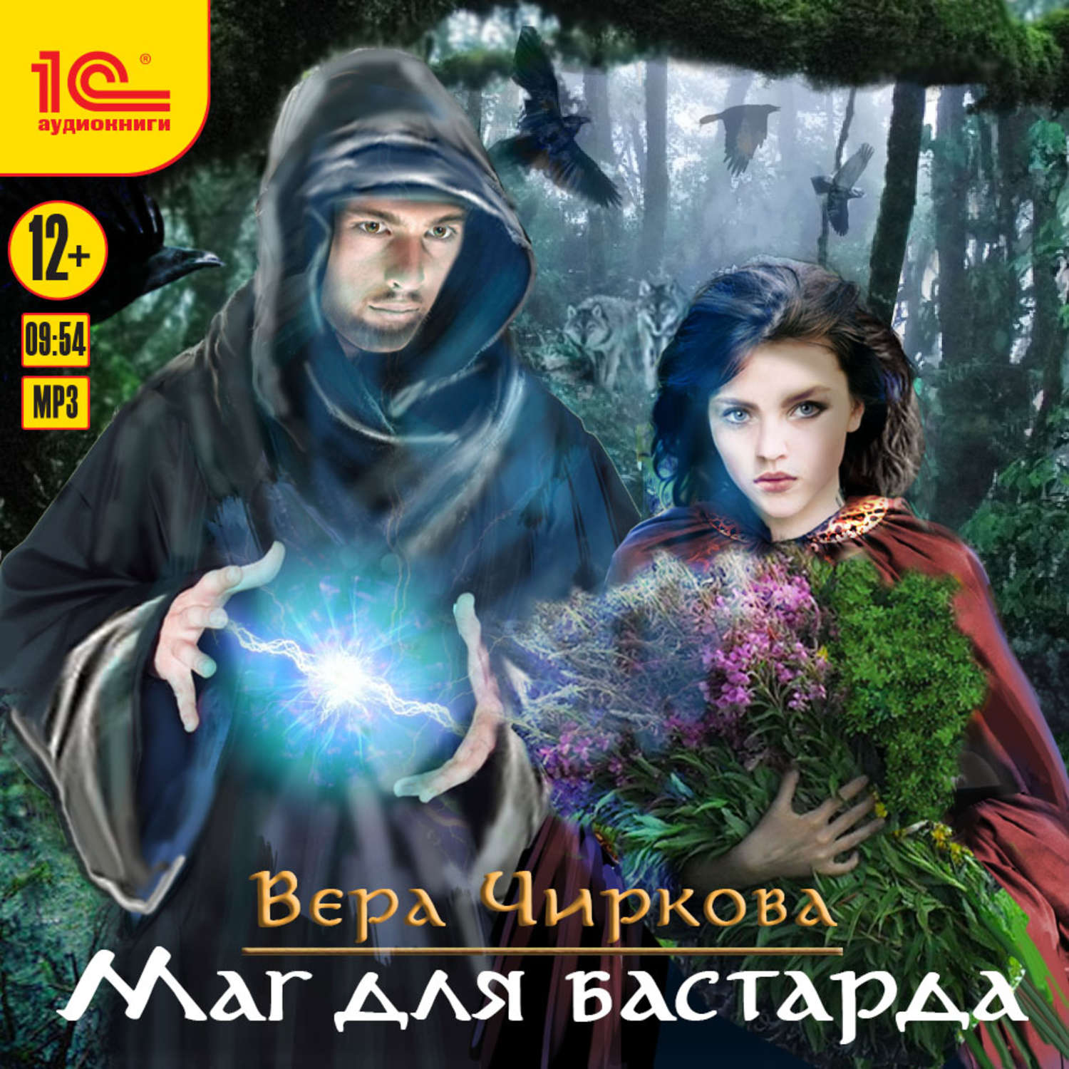 Обложка книги «Маг для бастарда»