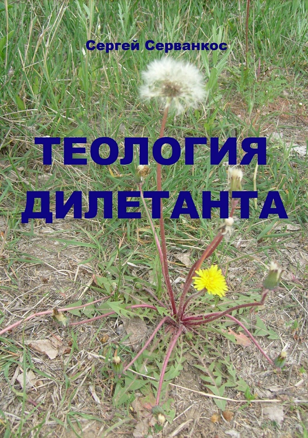 Обложка книги «Теология дилетанта»