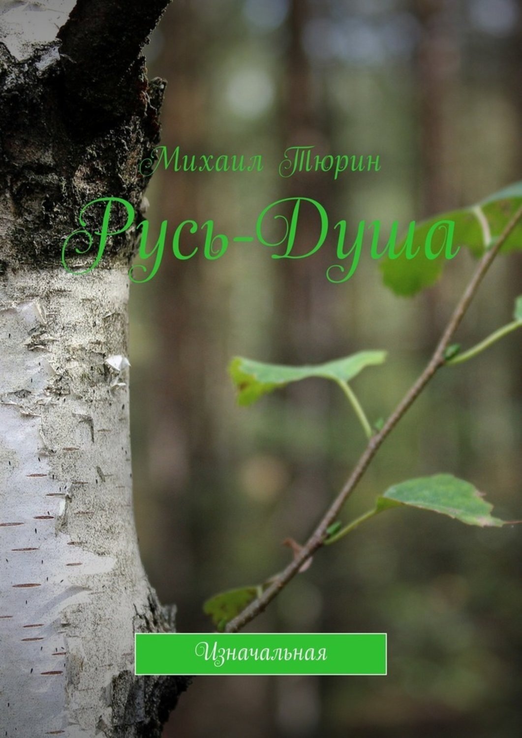 Обложка книги «Русь-душа. Изначальная»