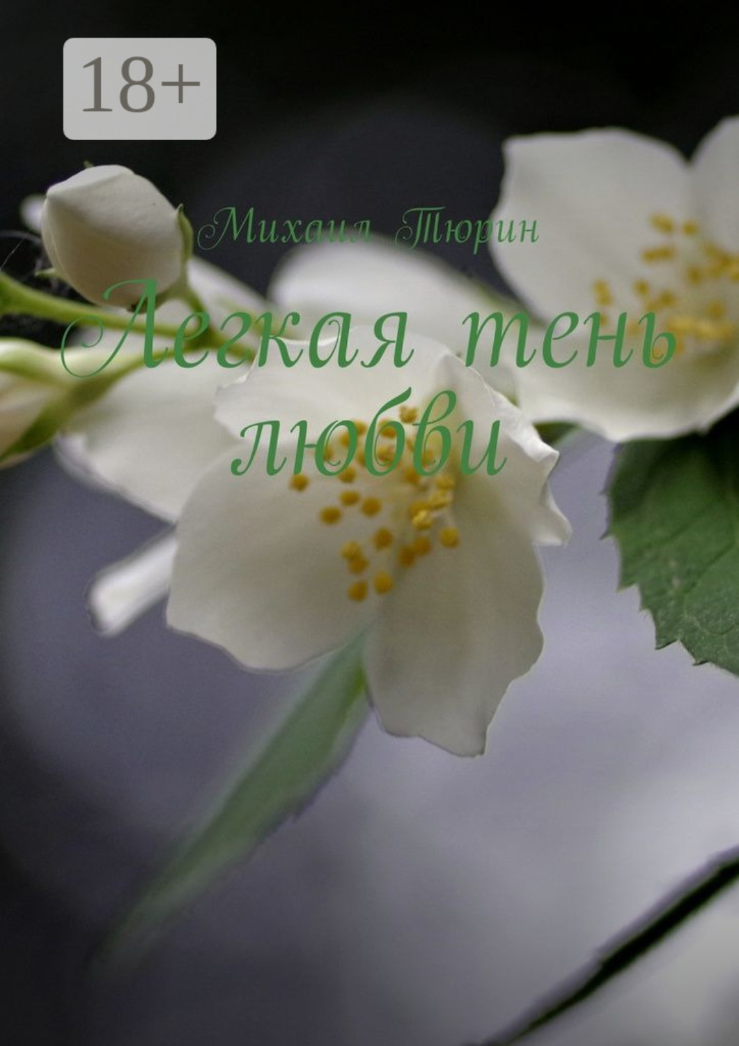 Обложка книги «Легкая тень любви»