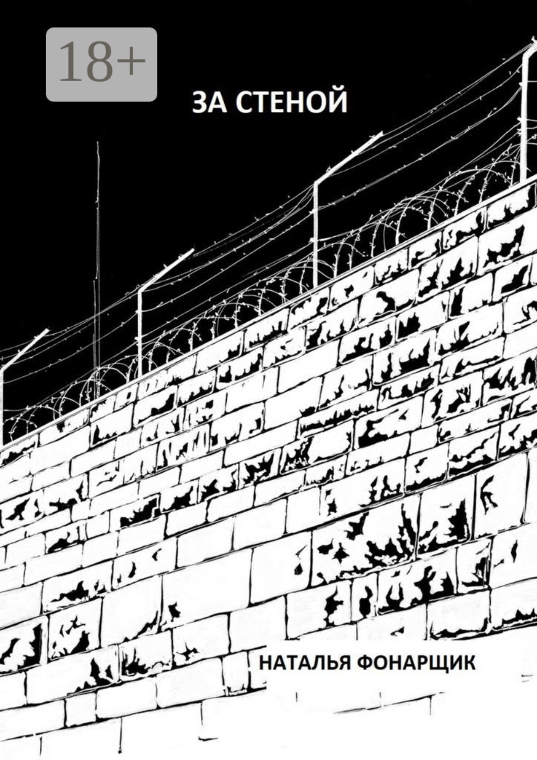 Обложка книги «За стеной»