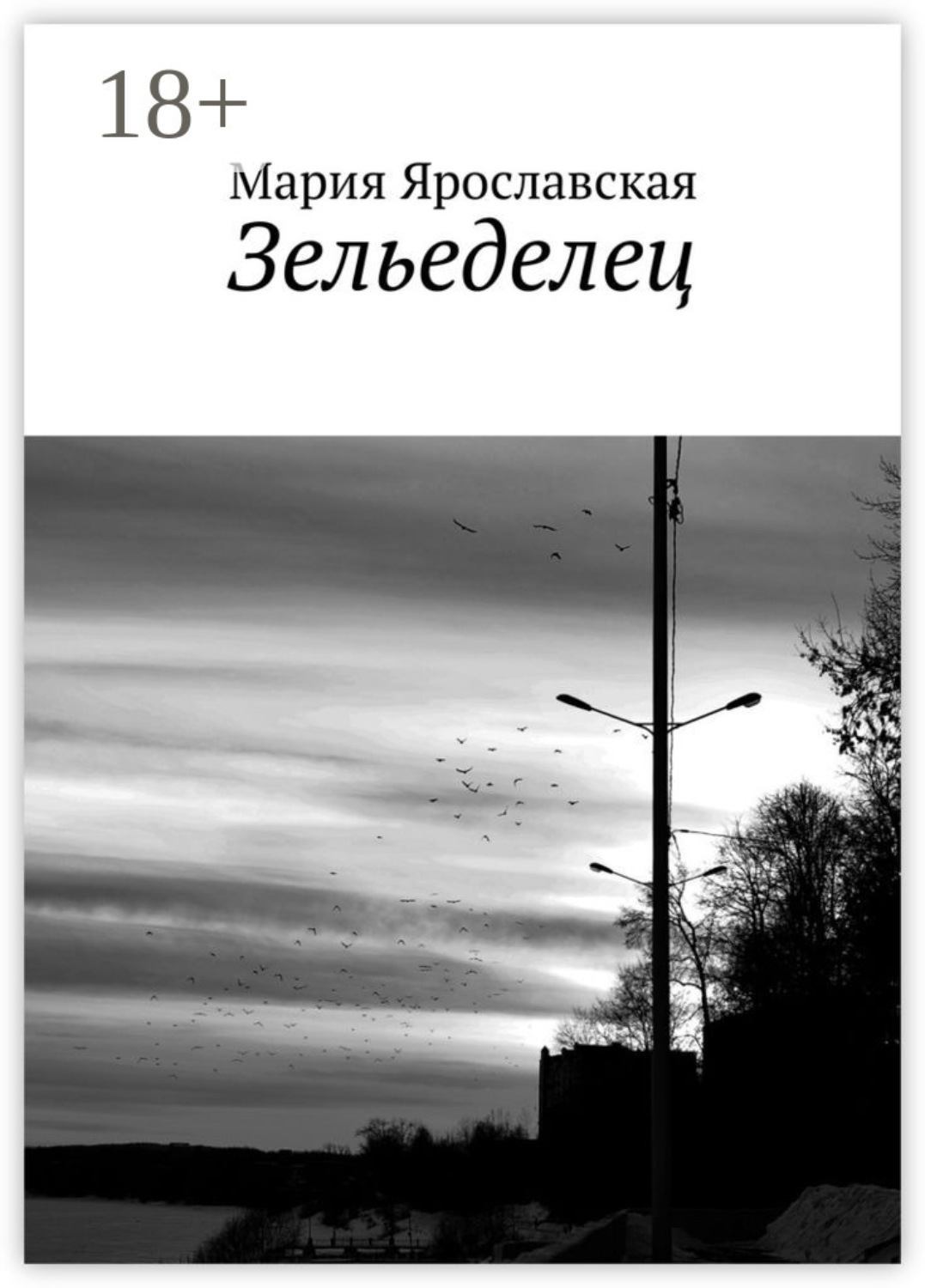 Обложка книги «Зельеделец»