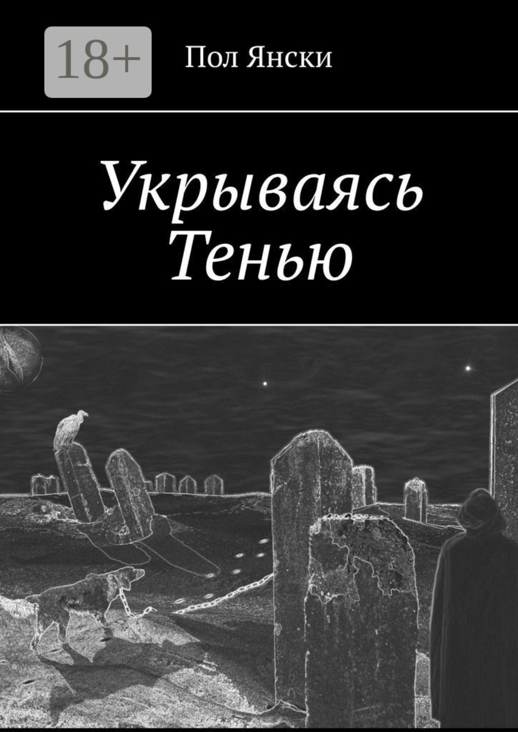Обложка книги «Укрываясь Тенью»