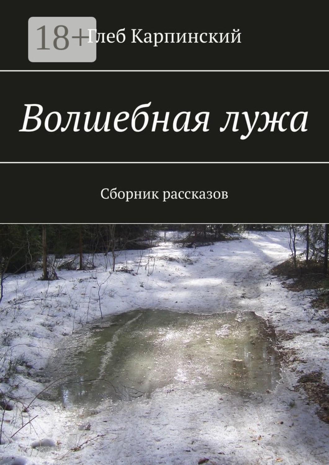 Обложка книги «Волшебная лужа. Сборник рассказов»
