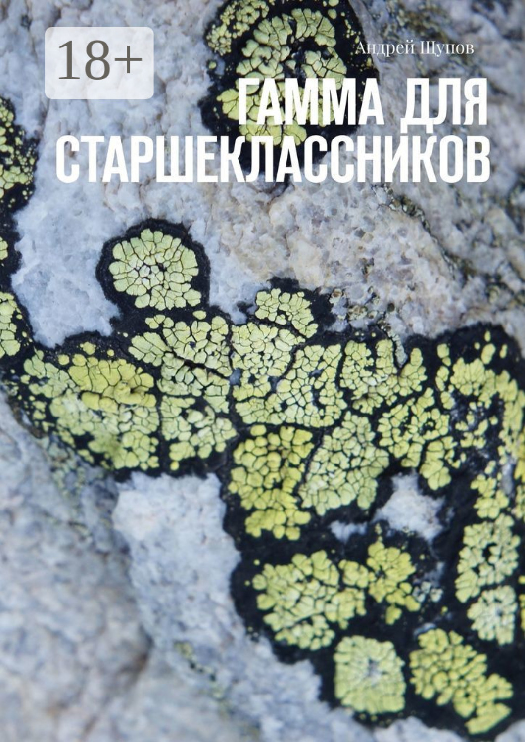 Обложка книги «Гамма для старшеклассников»