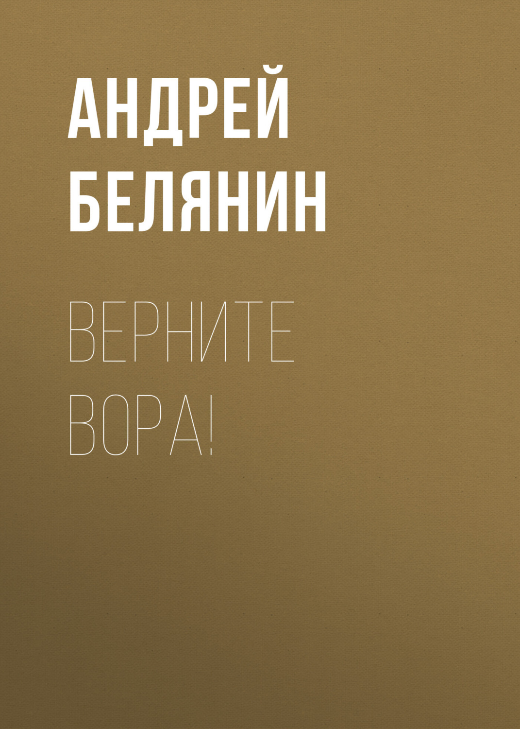 Обложка книги «Верните вора!»