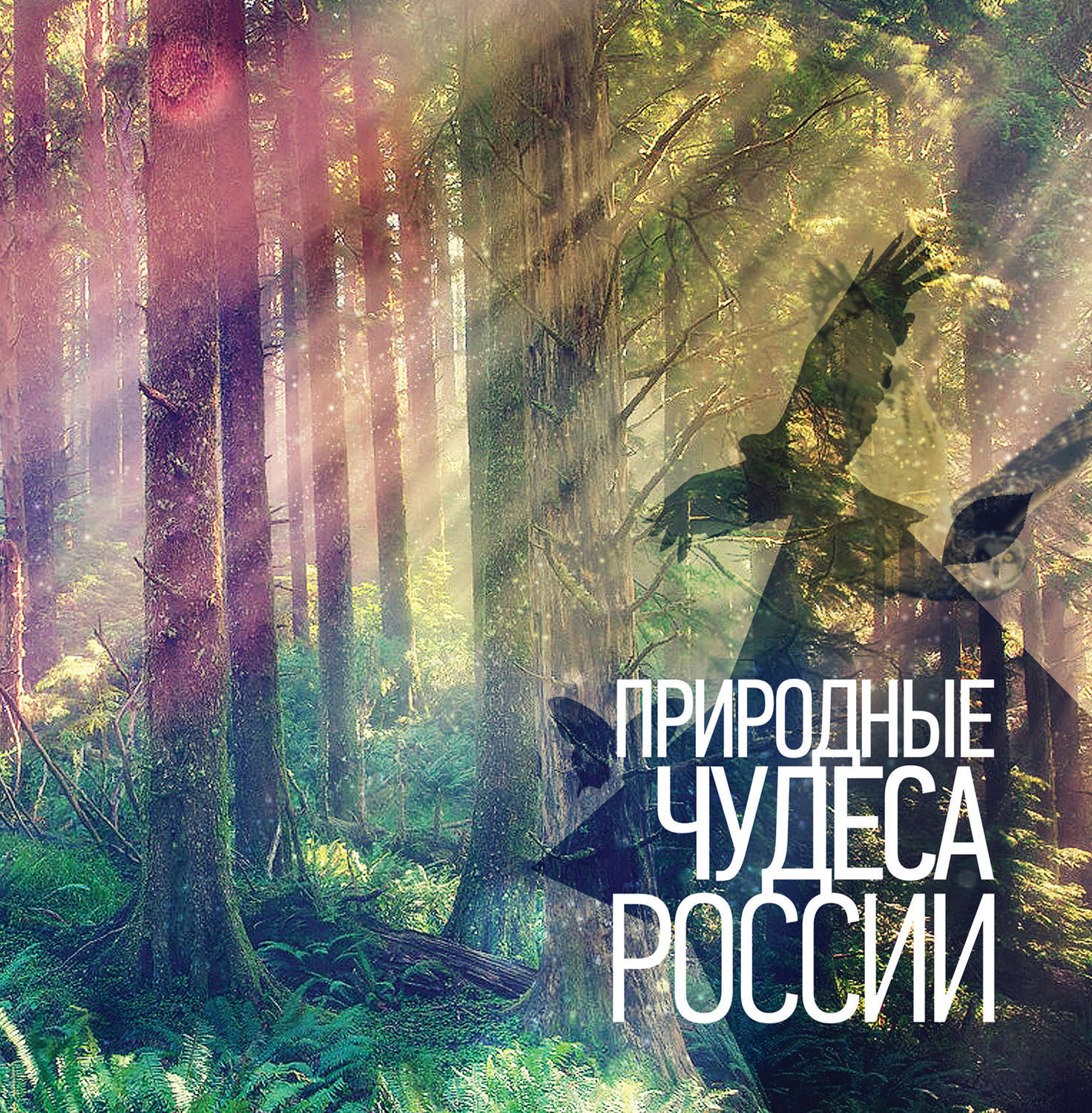 Обложка книги «Природные чудеса России»