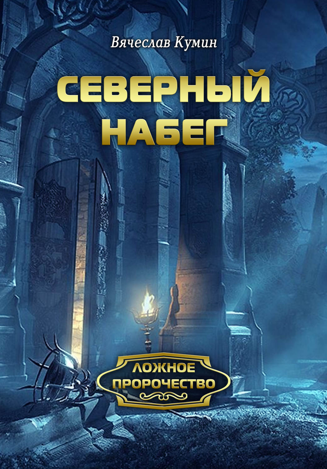 Обложка книги «Северный набег»