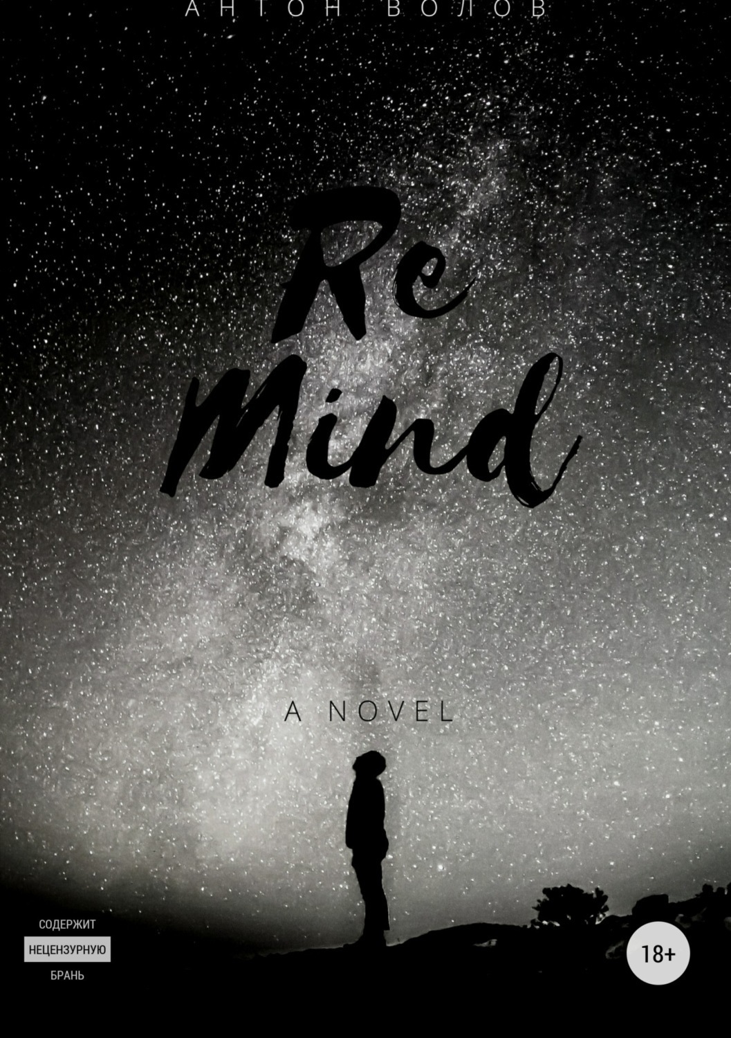 Обложка книги «ReMind»
