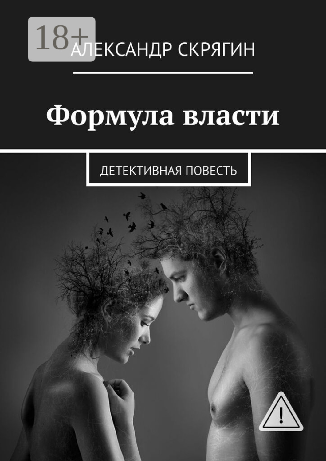Обложка книги «Формула власти. Детективная повесть»