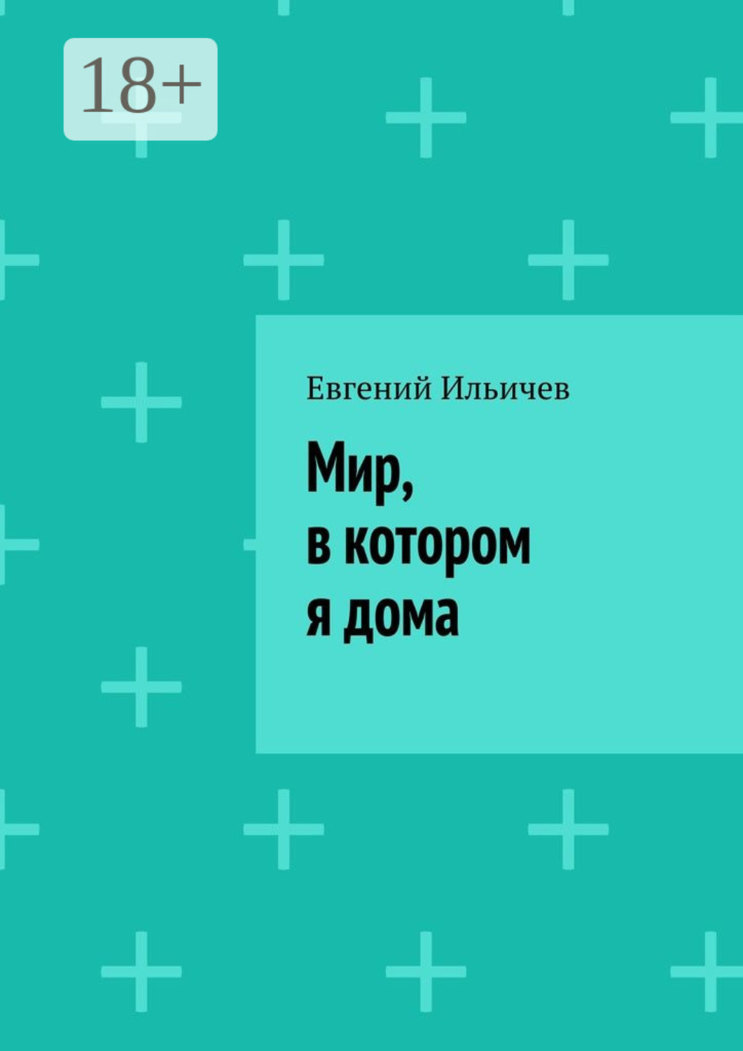 Обложка книги «Мир, в котором я дома»