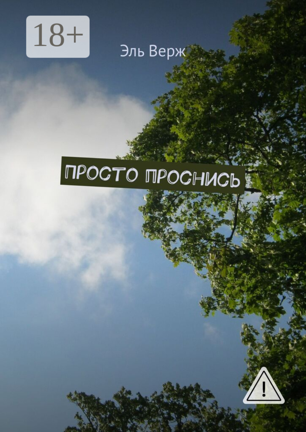 Обложка книги «Просто проснись»