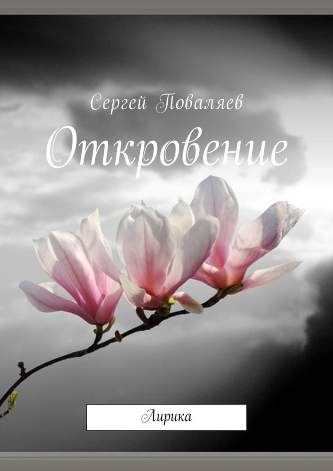 Обложка книги «Откровение. Лирика»