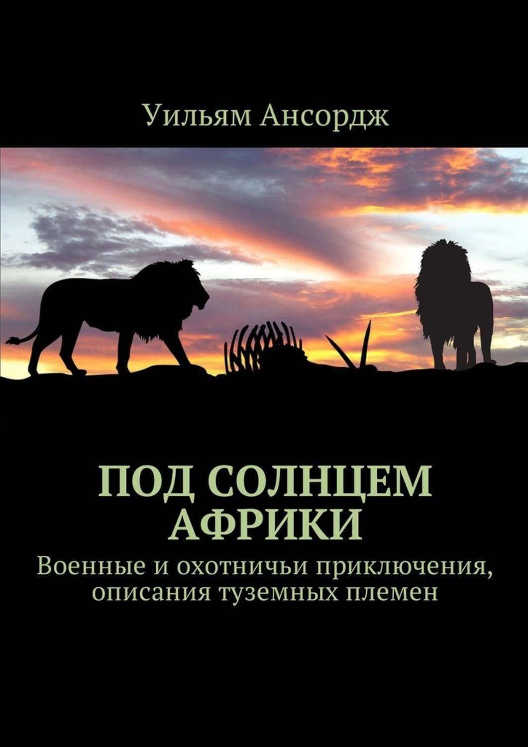 Обложка книги «Под солнцем Африки. Военные и охотничьи приключения, описания туземных племен»